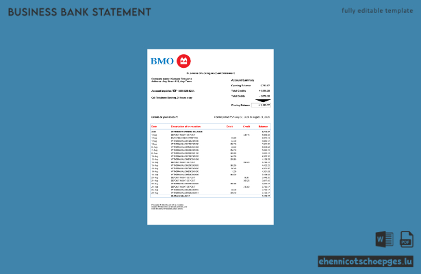 USA BMO Bank of Montreal Geschäftskontoauszug (Word und PDF) – 2 Beispielvorschau